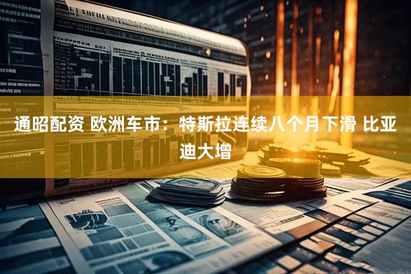 通昭配资 欧洲车市：特斯拉连续八个月下滑 比亚迪大增